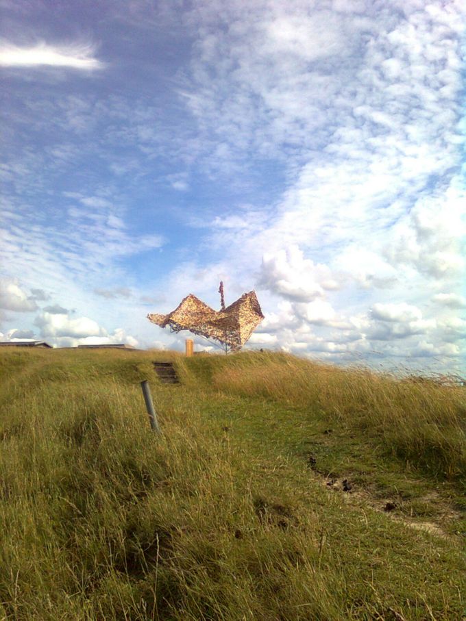 Sommerudstillingen. Masnedø 2011
Titel : It’s Hot Today. 
Matr: jern og camouflagenet.
År : 2011 
